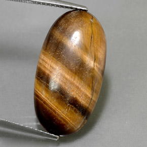 11.79克拉天然棕色Tiger's Eye，椭圆形切割，23.3×12.2毫米，不透明