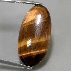 13.84克拉天然棕色Tiger's Eye，椭圆形切割，25.4×13毫米，不透明