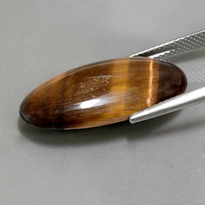 13.84克拉天然棕色Tiger's Eye，椭圆形切割，25.4×13毫米，不透明