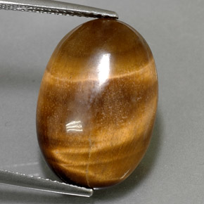 11.07克拉天然棕色Tiger's Eye，椭圆形切割，19.3×13.3毫米，不透明