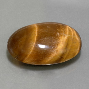 11.07克拉天然棕色Tiger's Eye，椭圆形切割，19.3×13.3毫米，不透明