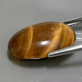 11.07克拉天然棕色Tiger's Eye，椭圆形切割，19.3×13.3毫米，不透明