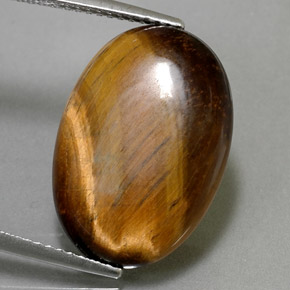 10.40克拉天然棕色Tiger's Eye，椭圆形切割，19.5×13.7毫米，不透明
