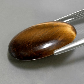 10.40克拉天然棕色Tiger's Eye，椭圆形切割，19.5×13.7毫米，不透明