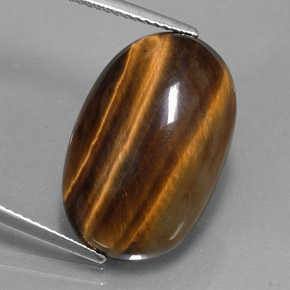 14.42克拉天然棕色Tiger's Eye，椭圆形切割，21.1×13.8毫米，不透明