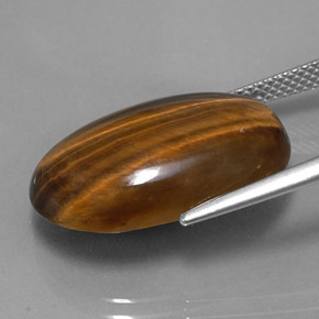 14.42克拉天然棕色Tiger's Eye，椭圆形切割，21.1×13.8毫米，不透明