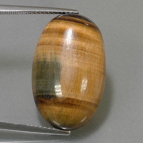 19.16克拉天然棕色Tiger's Eye，椭圆形切割，23.6×14.7毫米，不透明