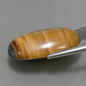 19.16克拉天然棕色Tiger's Eye，椭圆形切割，23.6×14.7毫米，不透明
