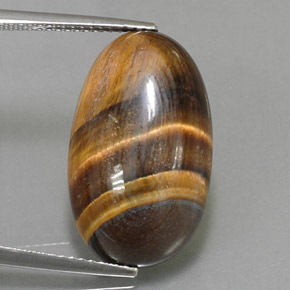 13.07克拉天然棕色Tiger's Eye，椭圆形切割，21.6×13毫米，不透明