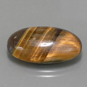 13.07克拉天然棕色Tiger's Eye，椭圆形切割，21.6×13毫米，不透明
