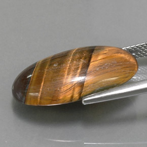 13.07克拉天然棕色Tiger's Eye，椭圆形切割，21.6×13毫米，不透明