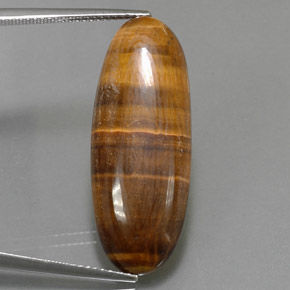 18.16克拉天然棕色Tiger's Eye，椭圆形切割，31.5×12.1毫米，不透明