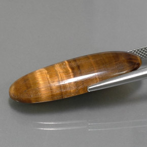 18.16克拉天然棕色Tiger's Eye，椭圆形切割，31.5×12.1毫米，不透明