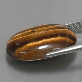 25.04克拉天然棕色Tiger's Eye，椭圆形切割，23.9×18毫米，不透明