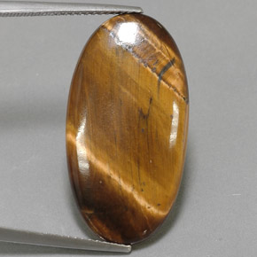 14.24克拉天然棕色Tiger's Eye，椭圆形切割，27.9×14.7毫米，不透明