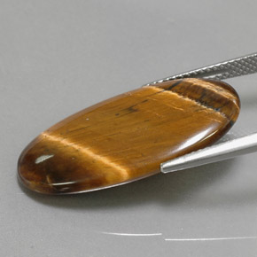 14.24克拉天然棕色Tiger's Eye，椭圆形切割，27.9×14.7毫米，不透明