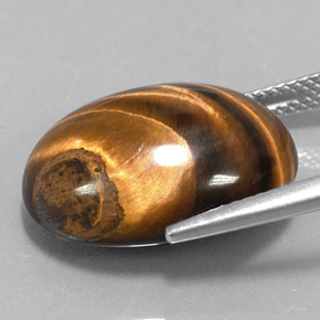 15.36克拉天然棕色Tiger's Eye，椭圆形切割，18.9×14毫米，不透明