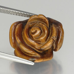 12.16克拉天然棕色Tiger's Eye，异形，16×14.5毫米，不透明