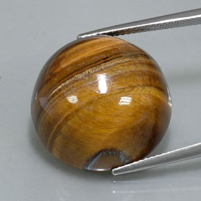 36.26克拉天然棕色Tiger's Eye，圆形切割，20.16毫米，不透明