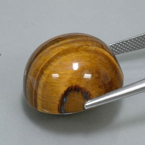 36.26克拉天然棕色Tiger's Eye，圆形切割，20.16毫米，不透明
