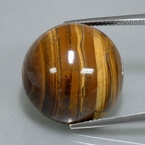 38.37克拉天然棕色Tiger's Eye，圆形切割，20.07毫米，不透明