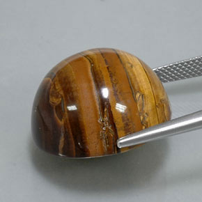 38.37克拉天然棕色Tiger's Eye，圆形切割，20.07毫米，不透明