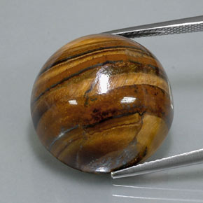 39.32克拉天然棕色Tiger's Eye，圆形切割，20.36毫米，不透明