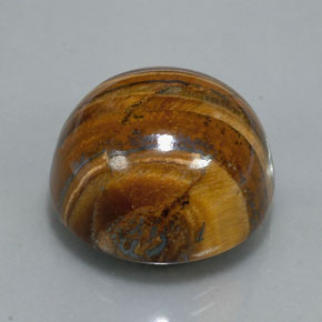 39.32克拉天然棕色Tiger's Eye，圆形切割，20.36毫米，不透明