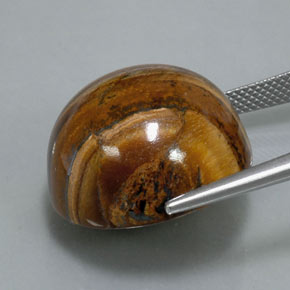 39.32克拉天然棕色Tiger's Eye，圆形切割，20.36毫米，不透明