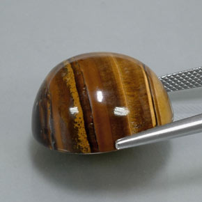 37.12克拉天然棕色Tiger's Eye，圆形切割，20.19毫米，不透明