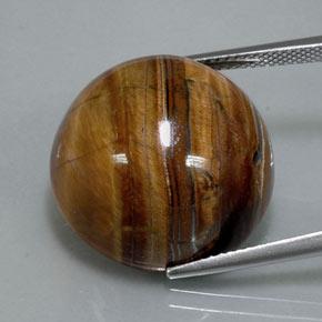 36.50克拉天然棕色Tiger's Eye，圆形切割，20.13毫米，不透明