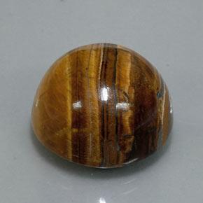 36.50克拉天然棕色Tiger's Eye，圆形切割，20.13毫米，不透明