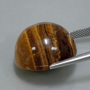 36.50克拉天然棕色Tiger's Eye，圆形切割，20.13毫米，不透明