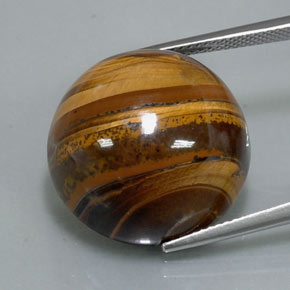 37.72克拉天然棕色Tiger's Eye，圆形切割，20.21毫米，不透明