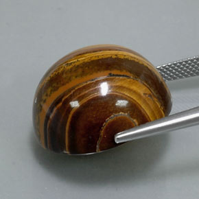37.72克拉天然棕色Tiger's Eye，圆形切割，20.21毫米，不透明