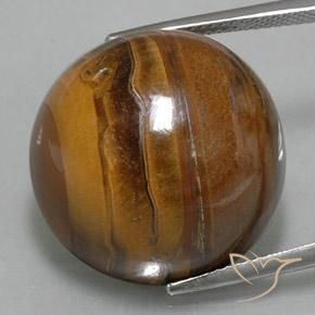 37.62ct 天然 暖棕 虎眼石, 圆形的, 不透明