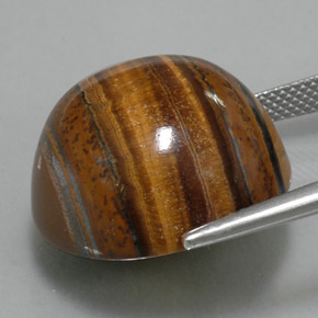 38.29克拉天然虎眼石，圆形切割，不透明