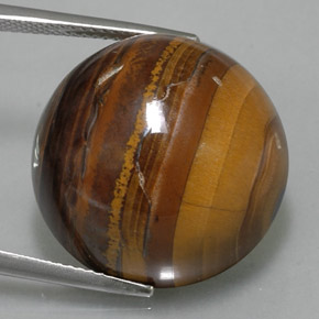 36.89克拉天然棕色Tiger's Eye，圆形切割，20.18毫米，不透明