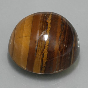 36.89克拉天然棕色Tiger's Eye，圆形切割，20.18毫米，不透明