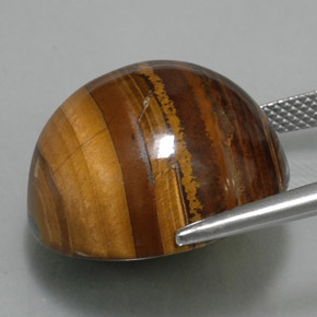 36.89克拉天然棕色Tiger's Eye，圆形切割，20.18毫米，不透明