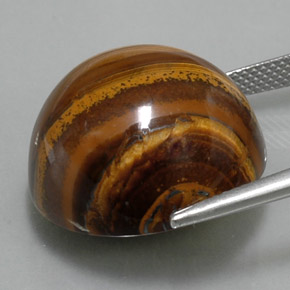 36.33克拉天然棕色Tiger's Eye，圆形切割，20.04毫米，不透明
