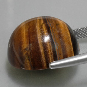 36.96克拉天然棕色Tiger's Eye，圆形切割，20.12毫米，不透明
