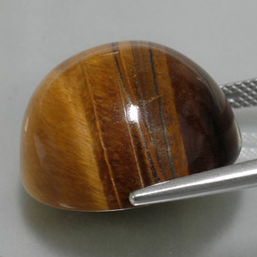 36.05克拉天然棕色Tiger's Eye，圆形切割，20.11毫米，不透明