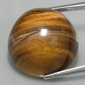 37.11克拉天然棕色Tiger's Eye，圆形切割，20.05毫米，不透明