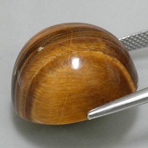 37.11克拉天然棕色Tiger's Eye，圆形切割，20.05毫米，不透明