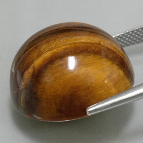 37.73克拉天然虎眼石，圆形切割，不透明