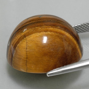 37.40克拉天然棕色Tiger's Eye，圆形切割，20.21毫米，不透明