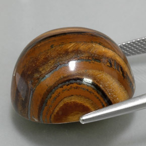 39.11克拉天然棕色Tiger's Eye，圆形切割，20.28毫米，不透明