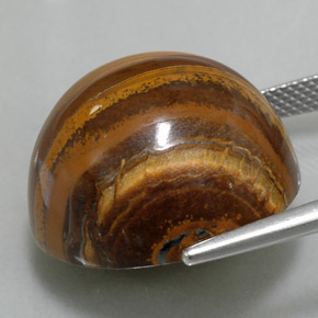 35.88克拉天然棕色Tiger's Eye，圆形切割，20.17毫米，不透明