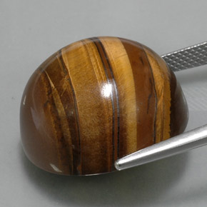 38.33克拉天然棕色Tiger's Eye，圆形切割，20.28毫米，不透明